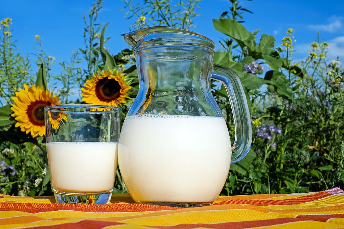 Milch ist guter Lieferant von Vitamin K2 (Foto: Ilona Frey/Unsplash).